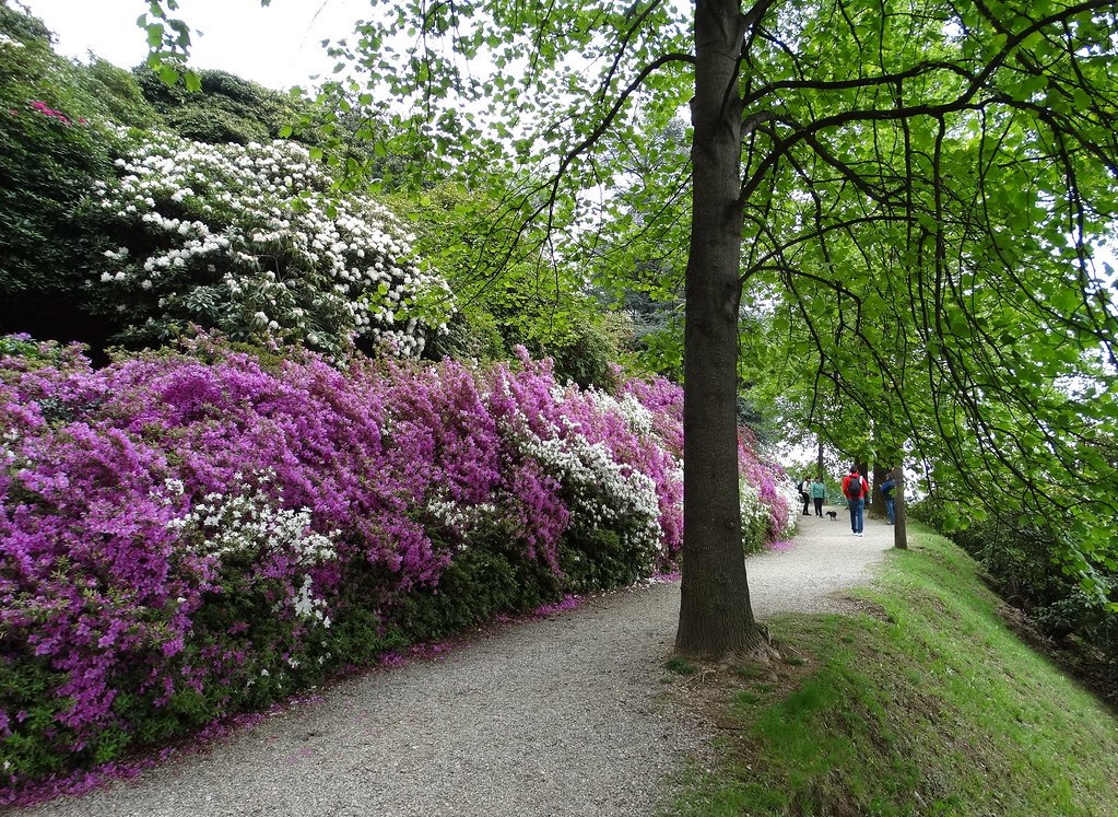 Parco della Burcina